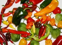 creativity gardening cookery
