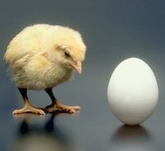 Which comes first the chicken or the egg